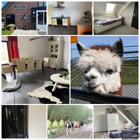 Bed and Breakfast Herberg Boerderij De Straat-Hof Leimuiden Zewnętrze zdjęcie