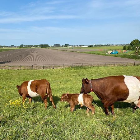 Bed and Breakfast Herberg Boerderij De Straat-Hof Leimuiden Zewnętrze zdjęcie