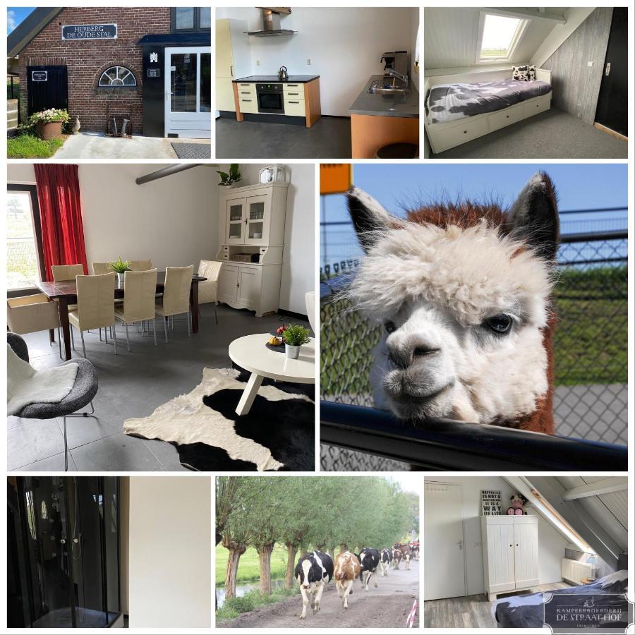 Bed and Breakfast Herberg Boerderij De Straat-Hof Leimuiden Zewnętrze zdjęcie