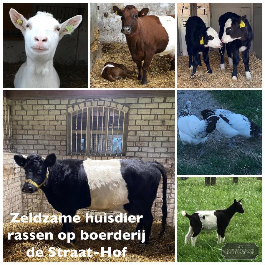Bed and Breakfast Herberg Boerderij De Straat-Hof Leimuiden Zewnętrze zdjęcie