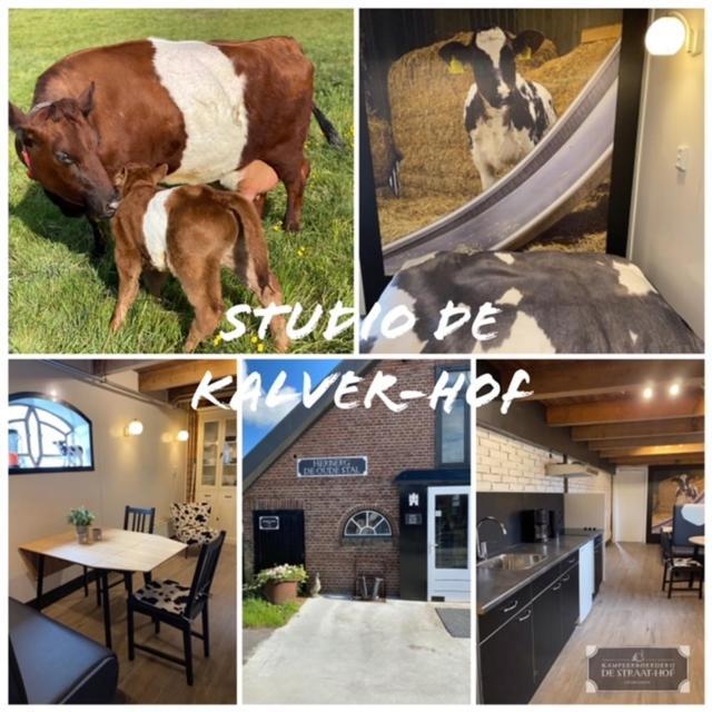 Bed and Breakfast Herberg Boerderij De Straat-Hof Leimuiden Zewnętrze zdjęcie